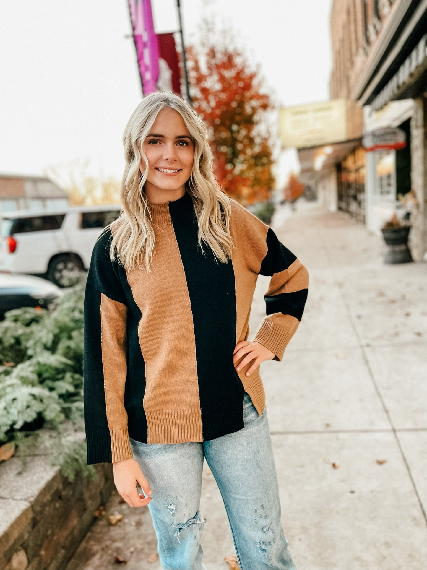 Off We Go Taupe Contrast Sweater