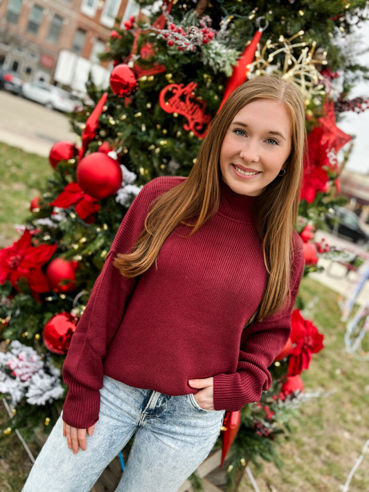 Seasonable Cheer Oxblood Sweater